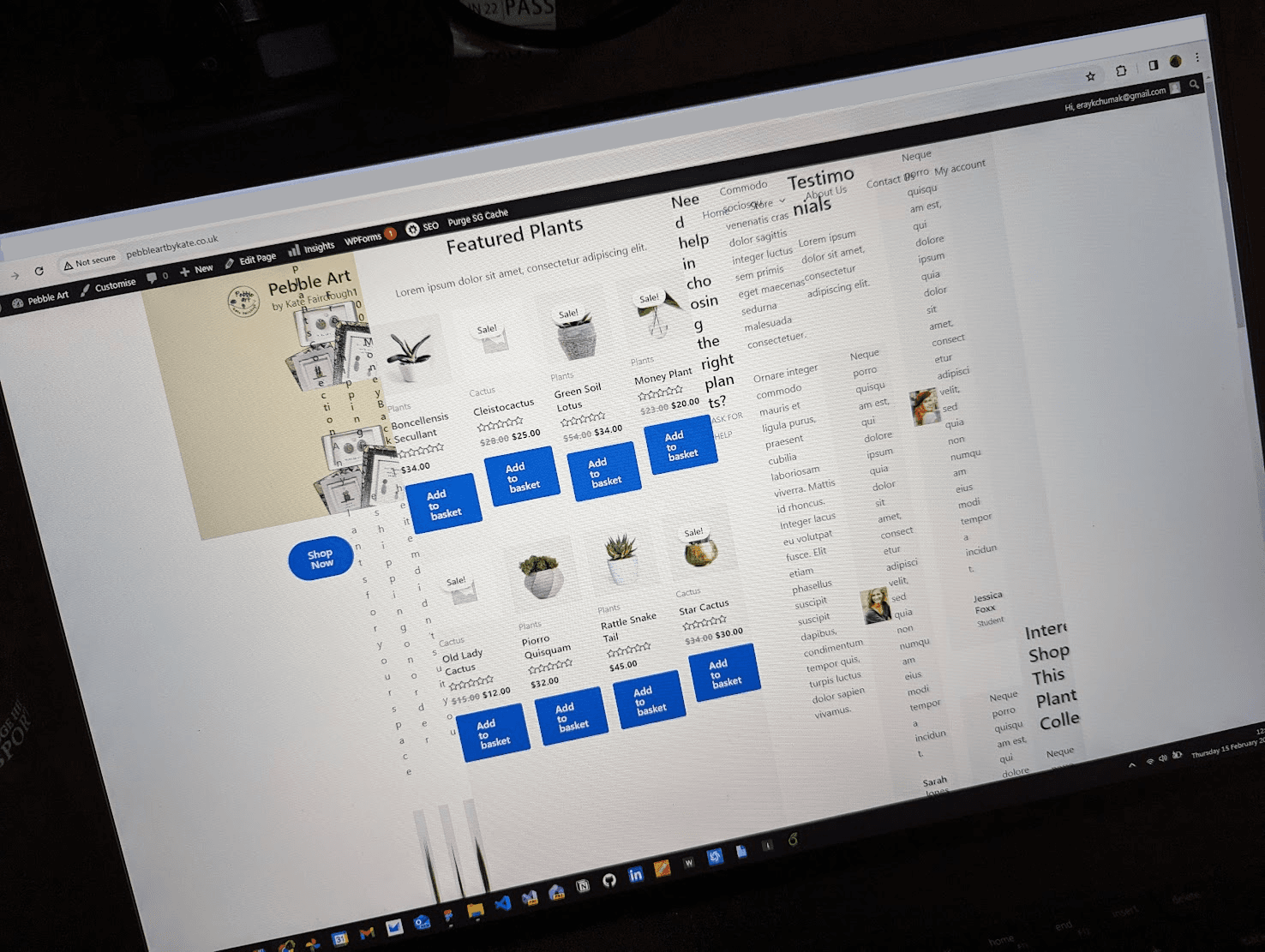 Broken layout while configuring the WordPress site